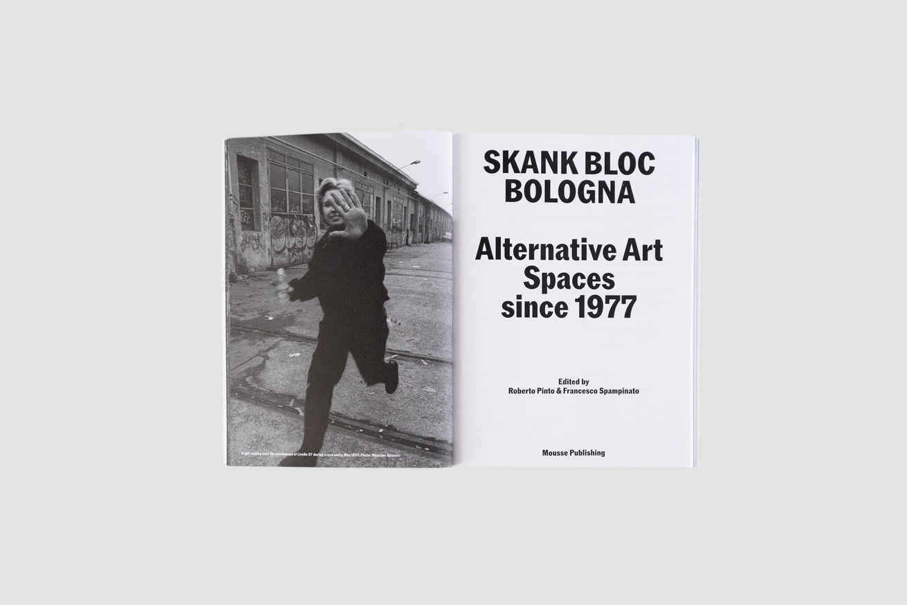 Skank Bloc Bologna thumbnail 2