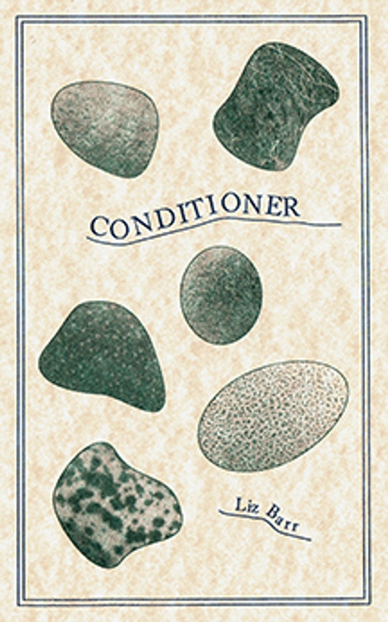 Conditioner