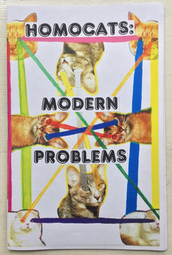 HOMOCATS: Modern Problems