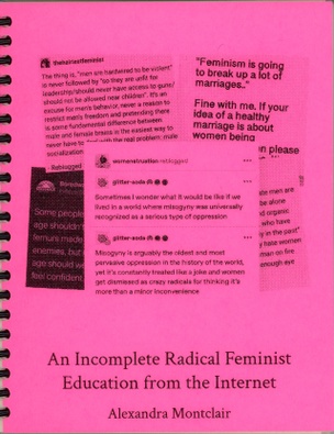 An Incomplete Radical Feminist Education from the Internet