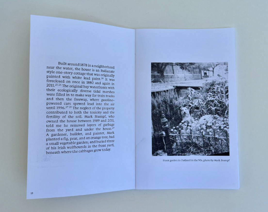 Becoming Naturalized to Place: California's Feral Cabbages [Third Printing] thumbnail 3