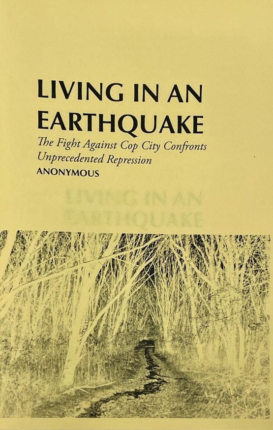 Living in an Earthquake