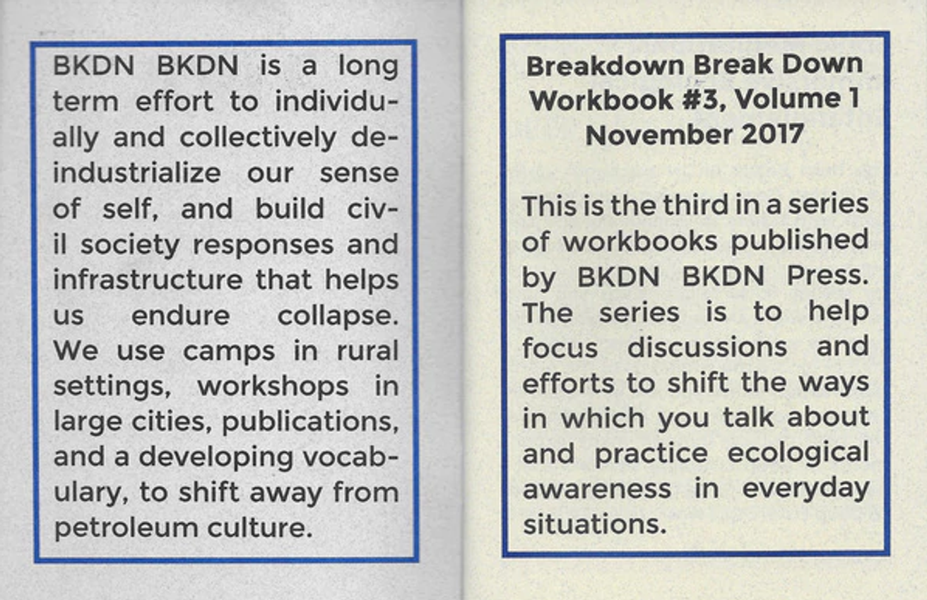 BREAK DOWN WORKBOOK #3: SONIC MEDITATIONS: IMMERSIVE ECOLOGICAL ENTANGLEMENT thumbnail 2