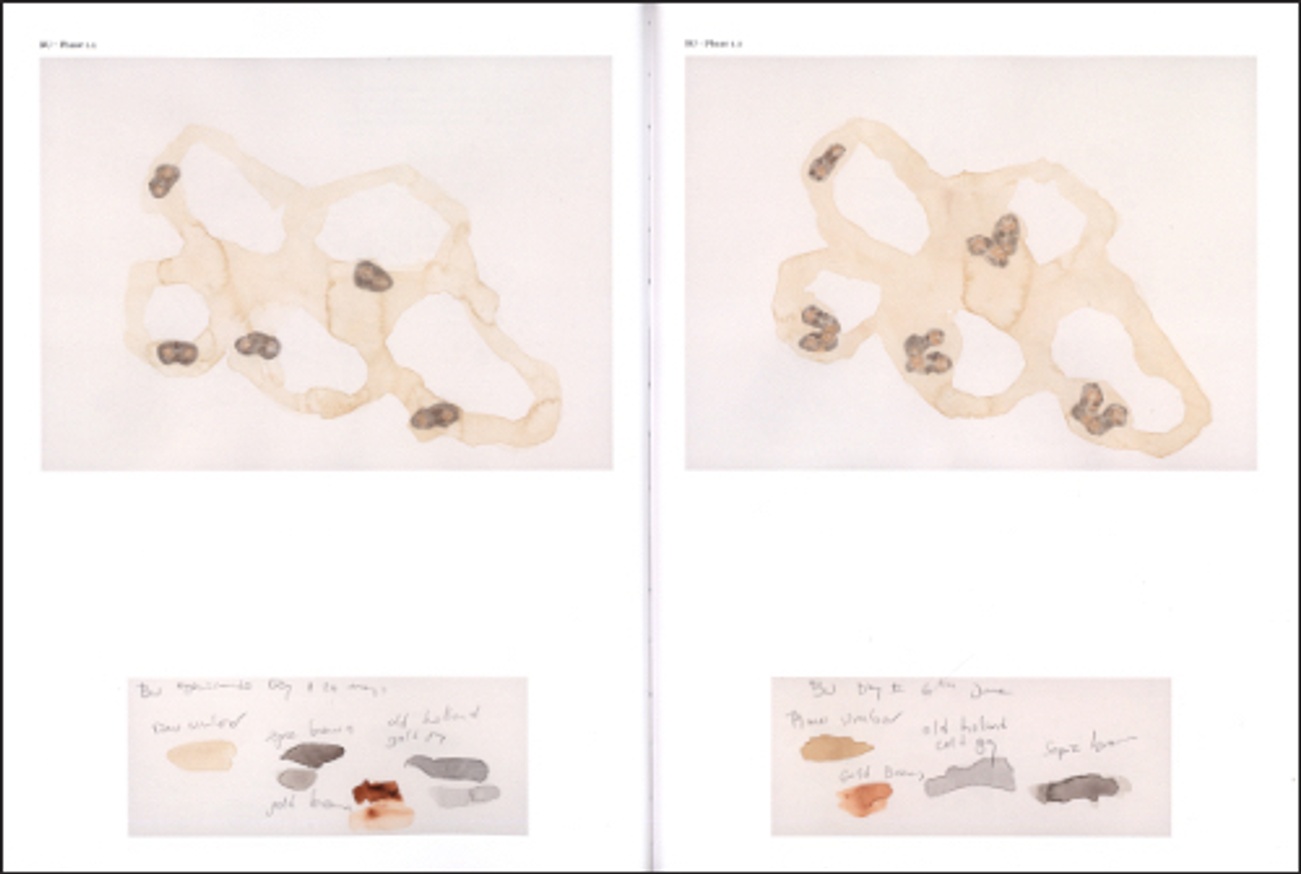 Marine Models Notes on Representation Vol. 12 thumbnail 2