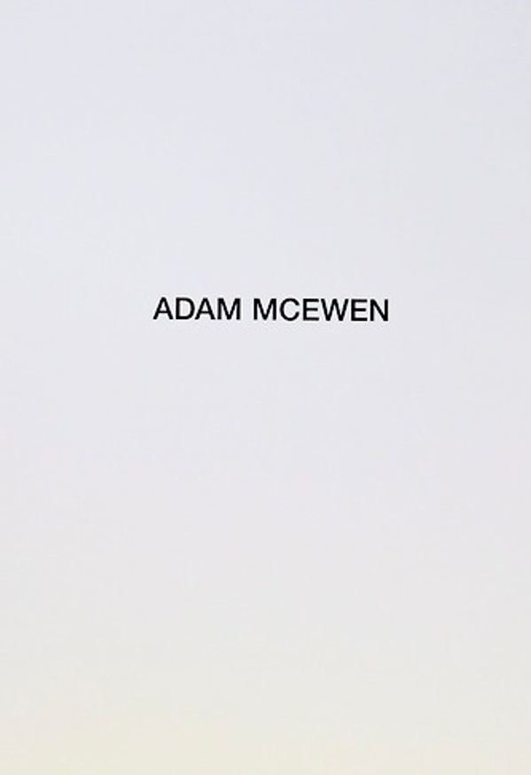 Adam McEwen : Factory Tint