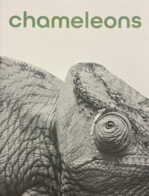 Chameleons