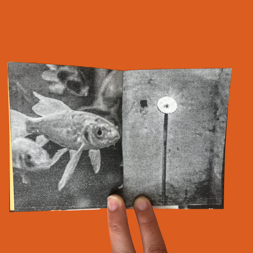 Kawabata, the Writer, the Travesti Philosopher, and the Fish thumbnail 4