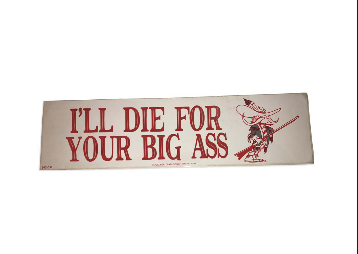 I'll Die For... (Bumper Sticker)