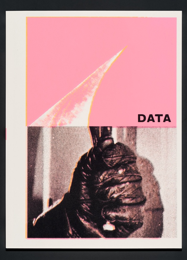 DATA thumbnail 3