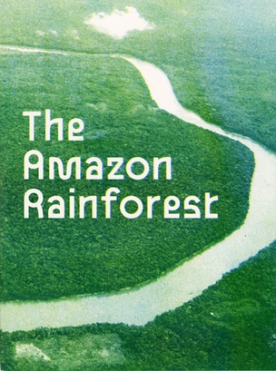 The Amazon