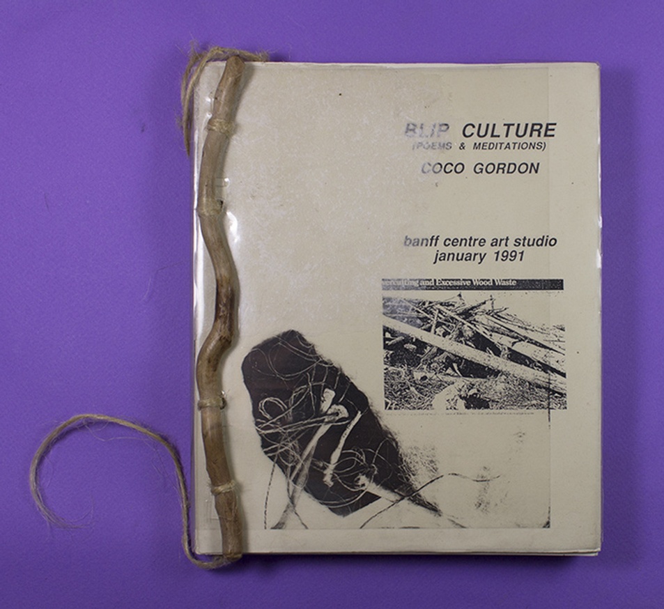 Blip Culture(Poems & Meditations)