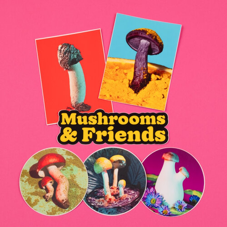 Mushroom and Friends [Sticker Pack]