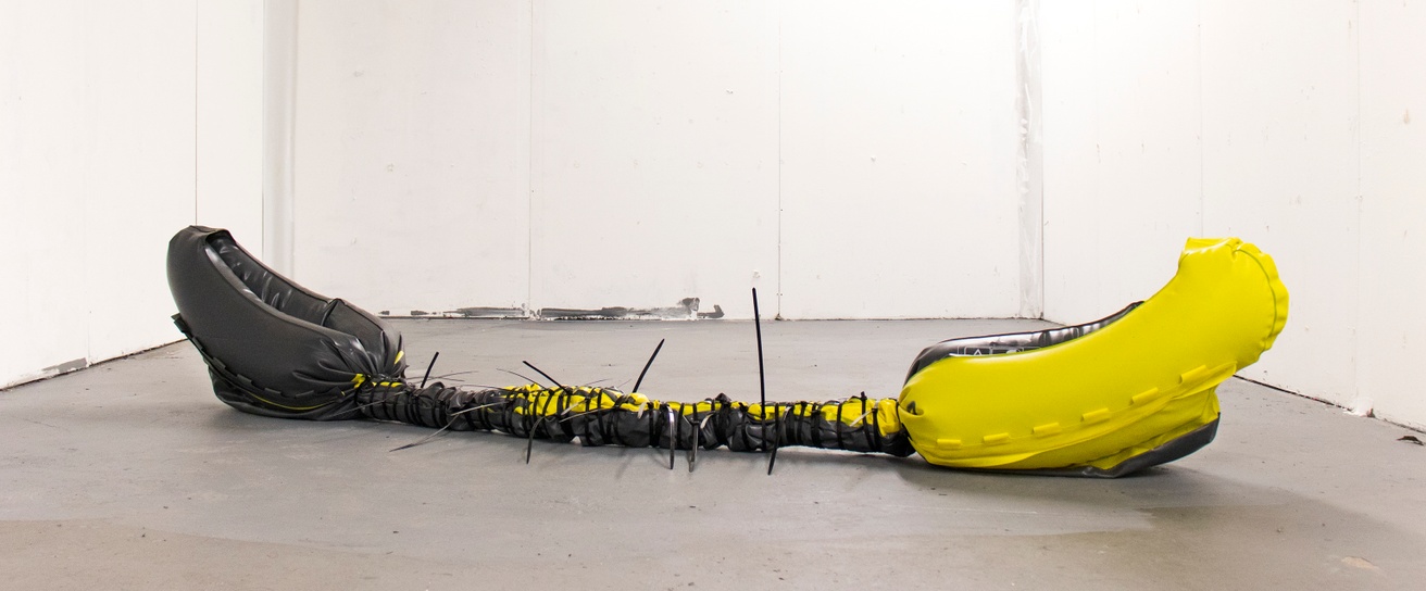 Untitled (Inflatable Kayak, Zip Ties) thumbnail 2