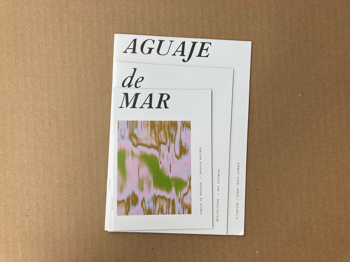 Aguaje de mar