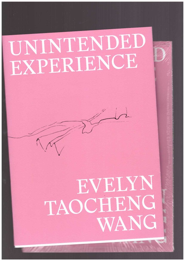 Unintended Experience (A Job In Amsterdam) [Second Edition]