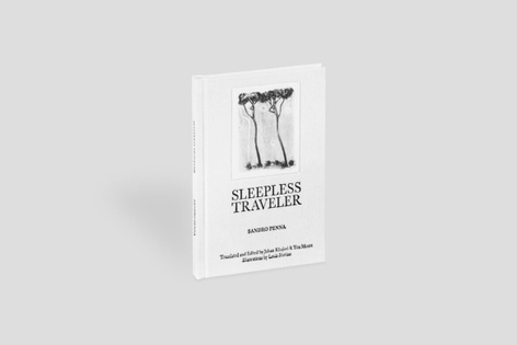 SLEEPLESS TRAVELER — Sandro Penna