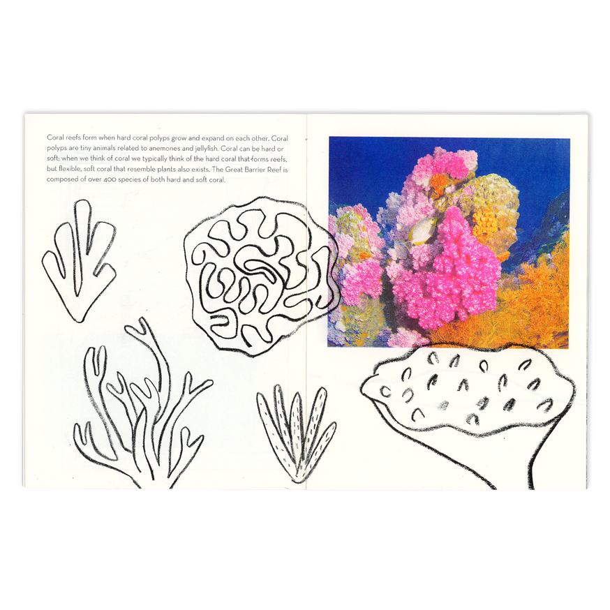 The Great Barrier Reef thumbnail 2