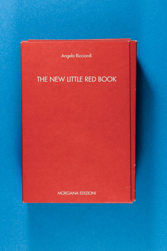 The New Little Red Book thumbnail 3