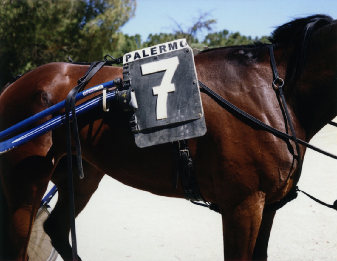 Untitled [Hipodromo La Favorita, Palermo 2006], 2012