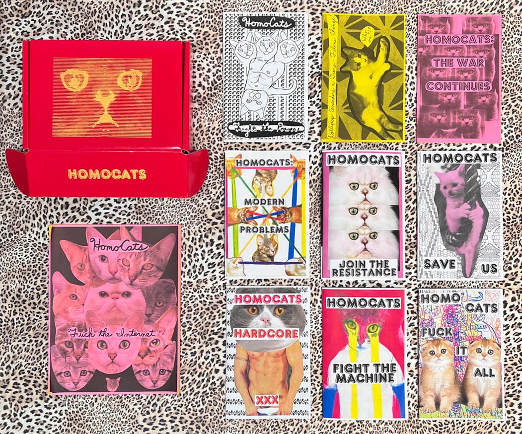 HOMOCATS: Boxed Zine Set thumbnail 2