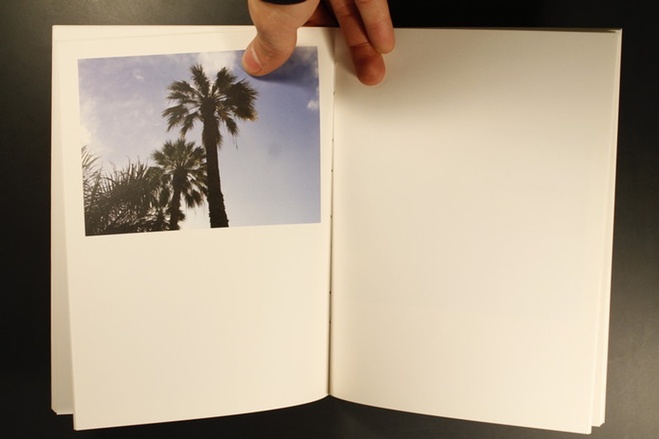 Twenty Palm Trees of Santa Cruz de Tenerife thumbnail 3