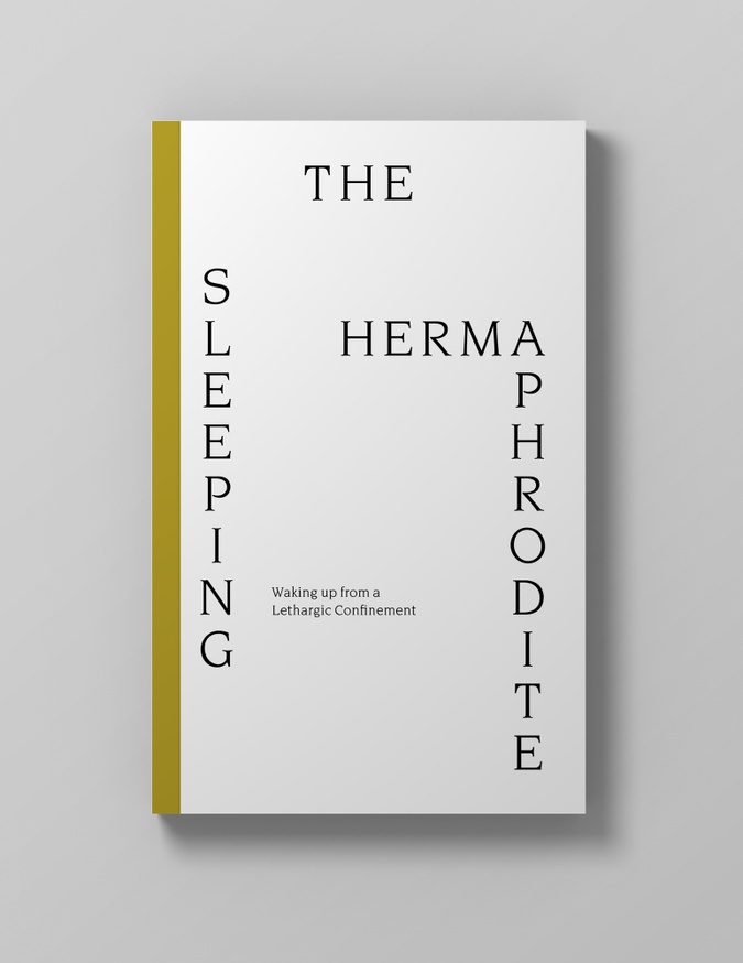 THE SLEEPING HERMAPHRODITE