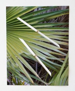 Joshua Tree Palm Slots, 2015