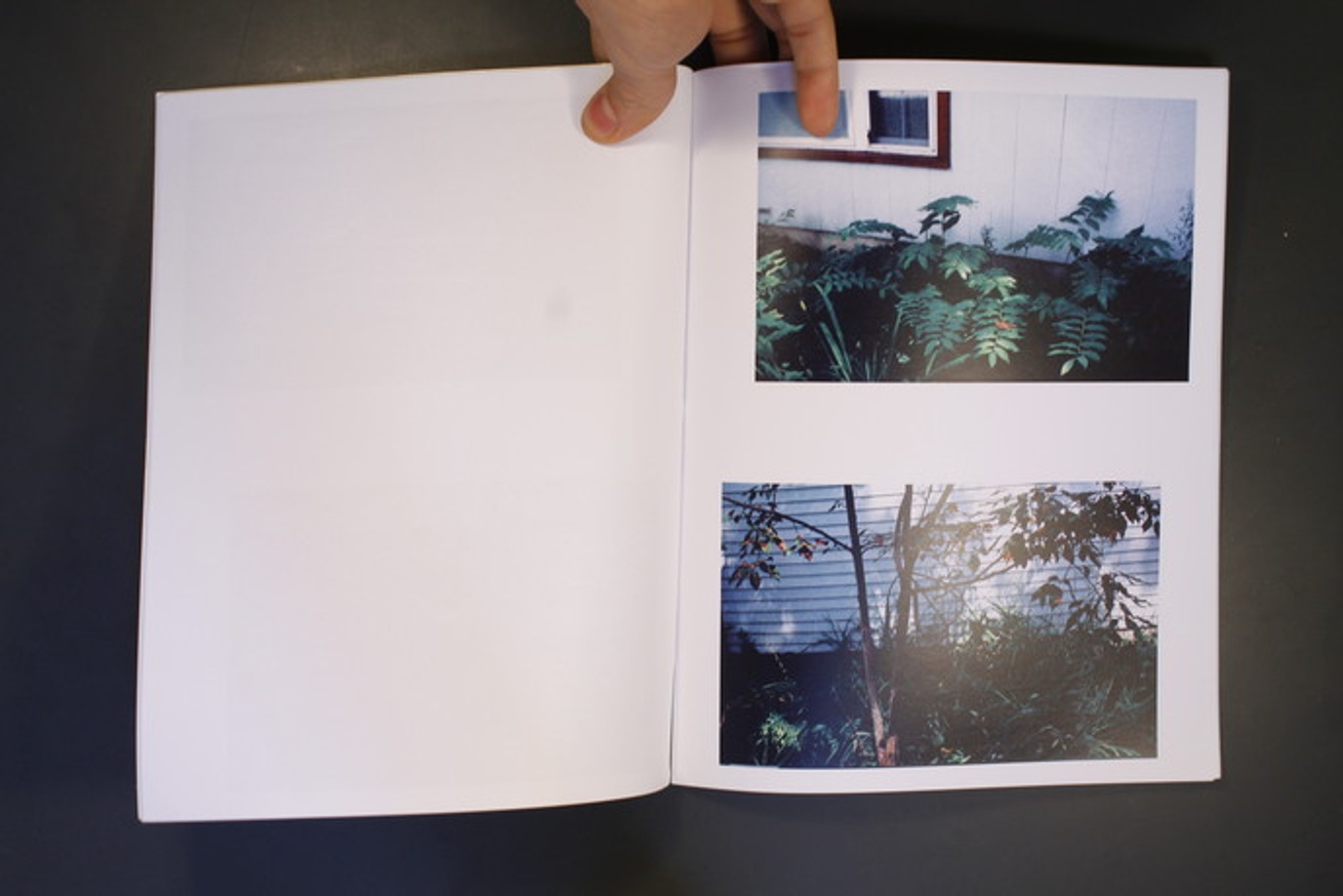 Sundry Photographs thumbnail 4