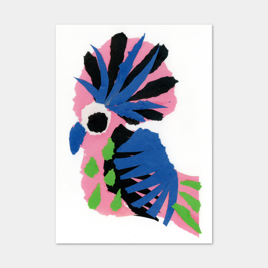  sbbP (Parrot) [Notecard]