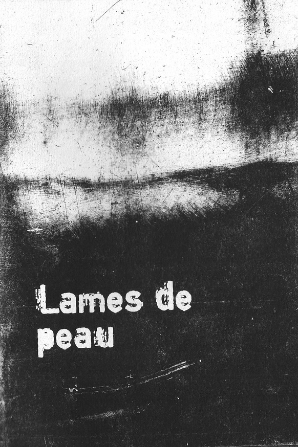  Lames de peau