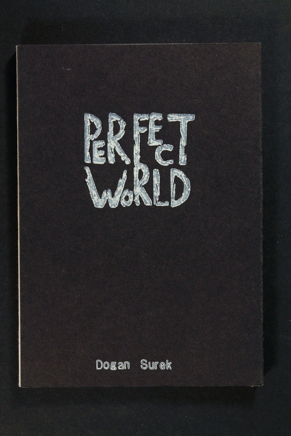 Perfect World                                                                                                                                                                                                                                                  