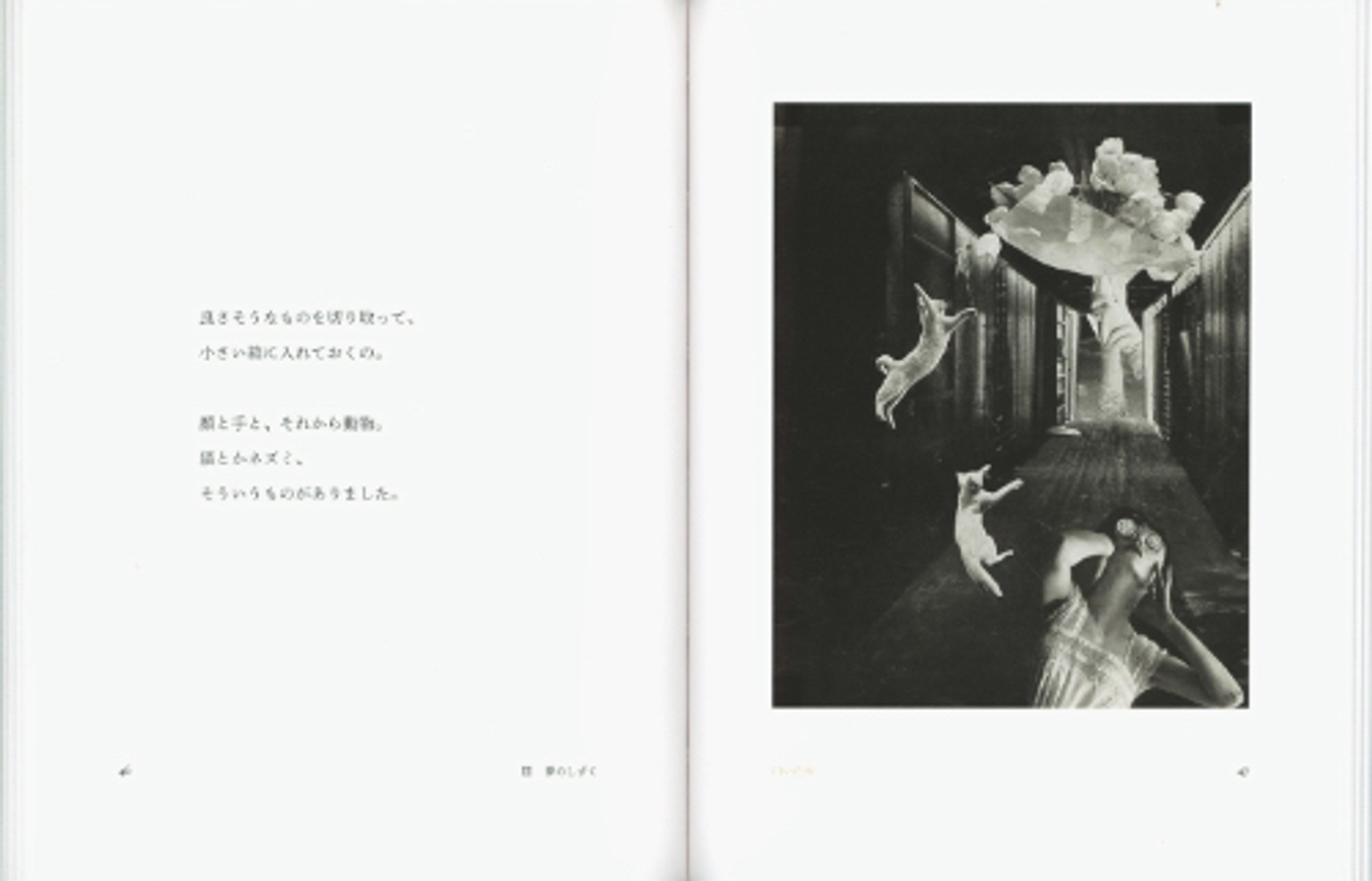 Essence of Toshiko Okanoue thumbnail 2