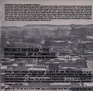 Project Entitled “The Beginnings of a Complex--" (1976-77) : Notes, Drawings, Photographs