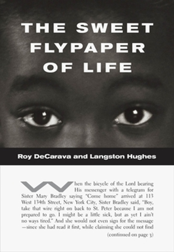 The Sweet Flypaper of Life