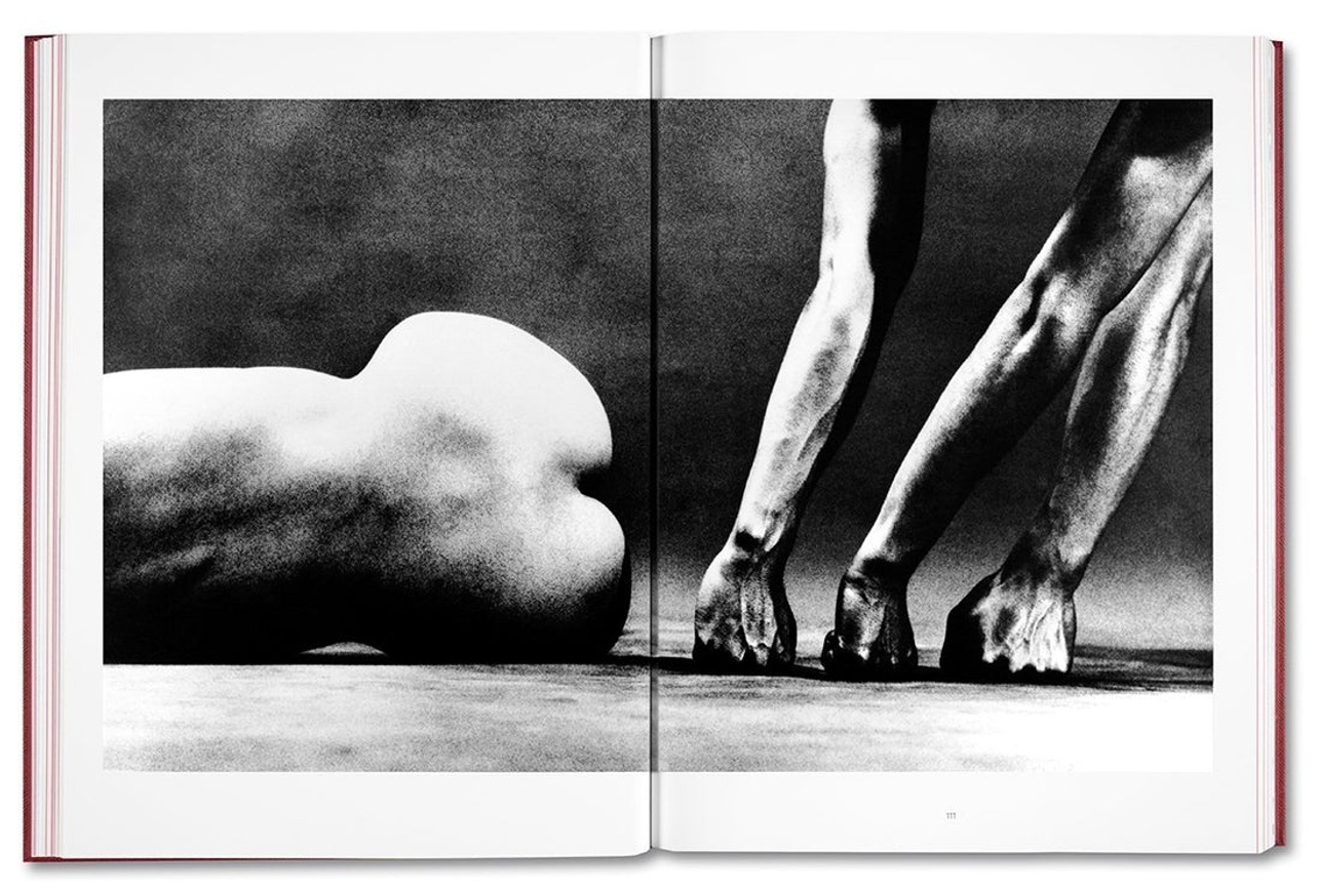 Eikoh Hosoe (English edition) thumbnail 6