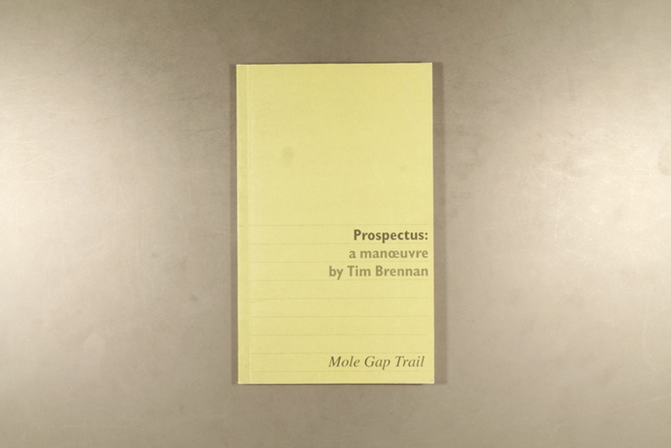 Prospectus : A Manoeuvre by Tim Brennan thumbnail 4