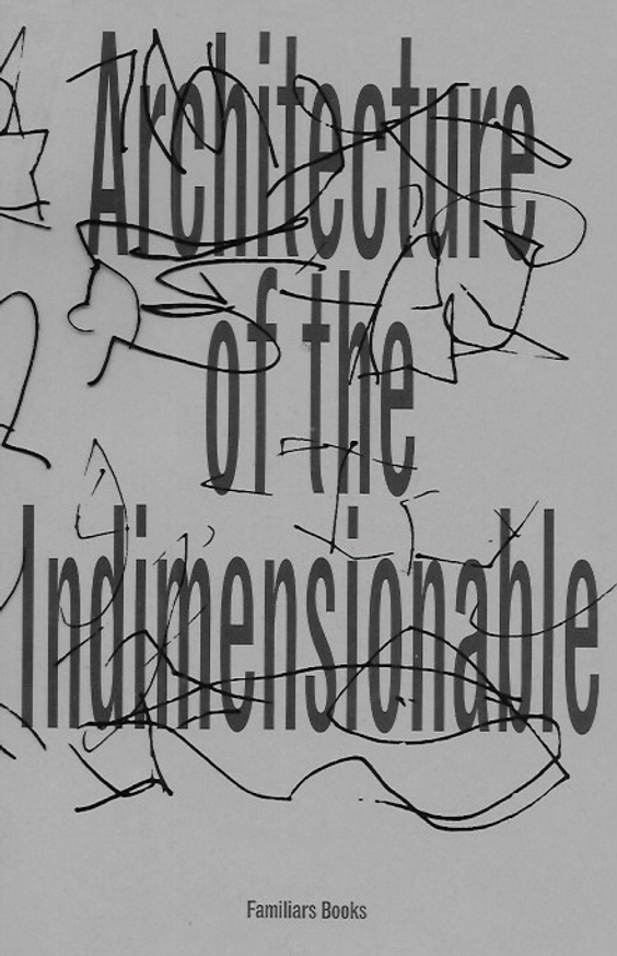 Architecture of the Indimensionable