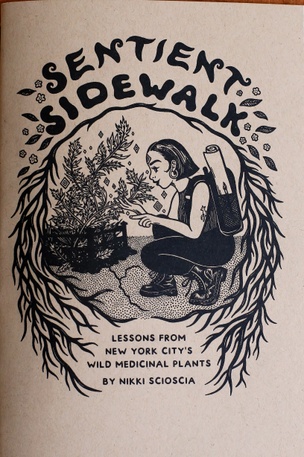 Sentient Sidewalk: Lessons From New York City's Wild Medicinal Plants