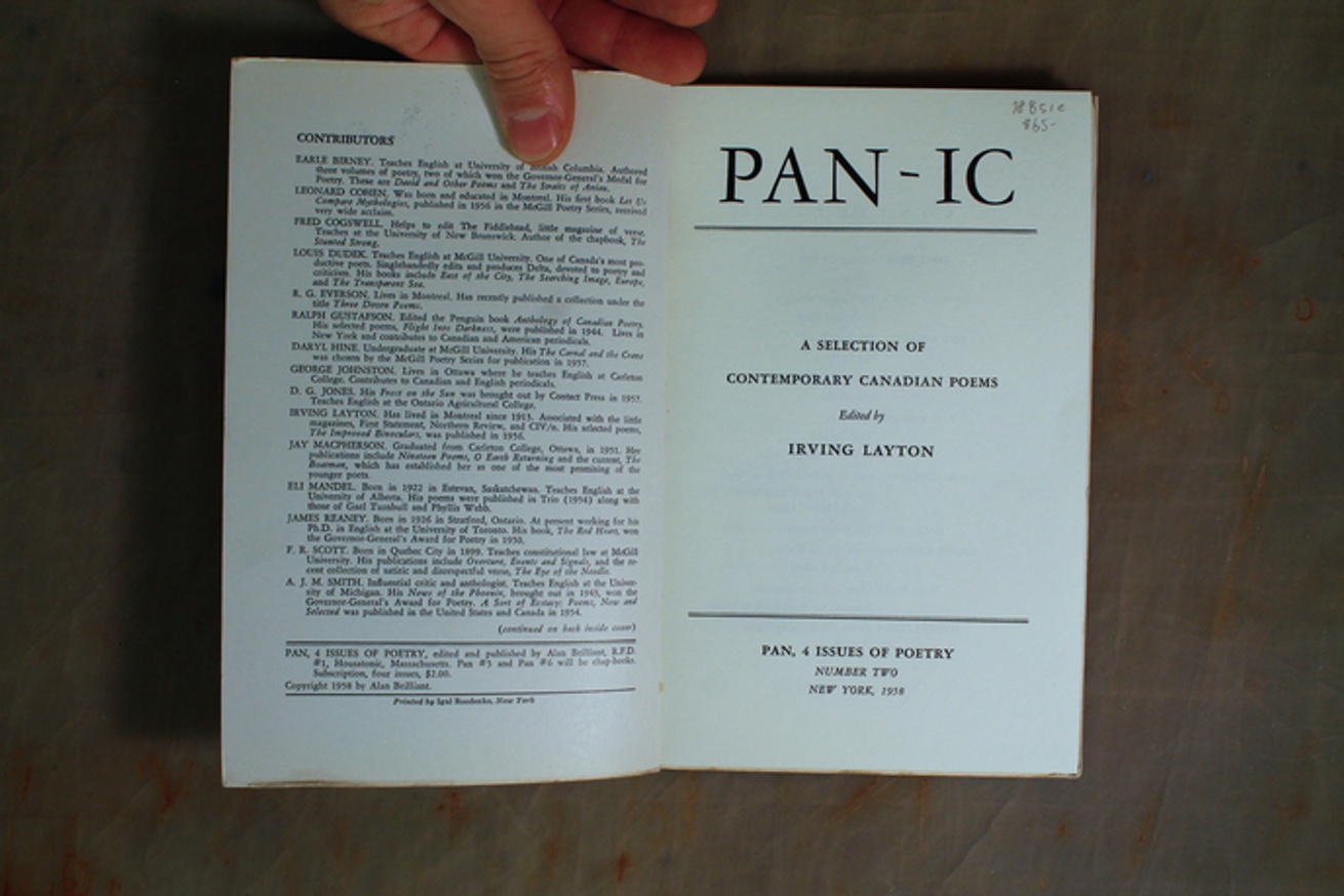 Pan-ic thumbnail 2