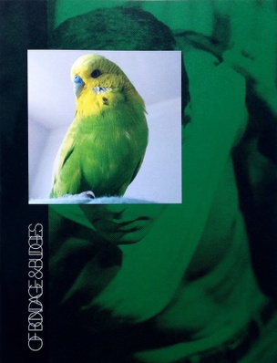 Of Bondage & Budgies 