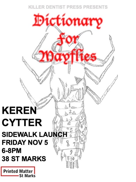 Dictionary for Mayflies Sidewalk Book Launch